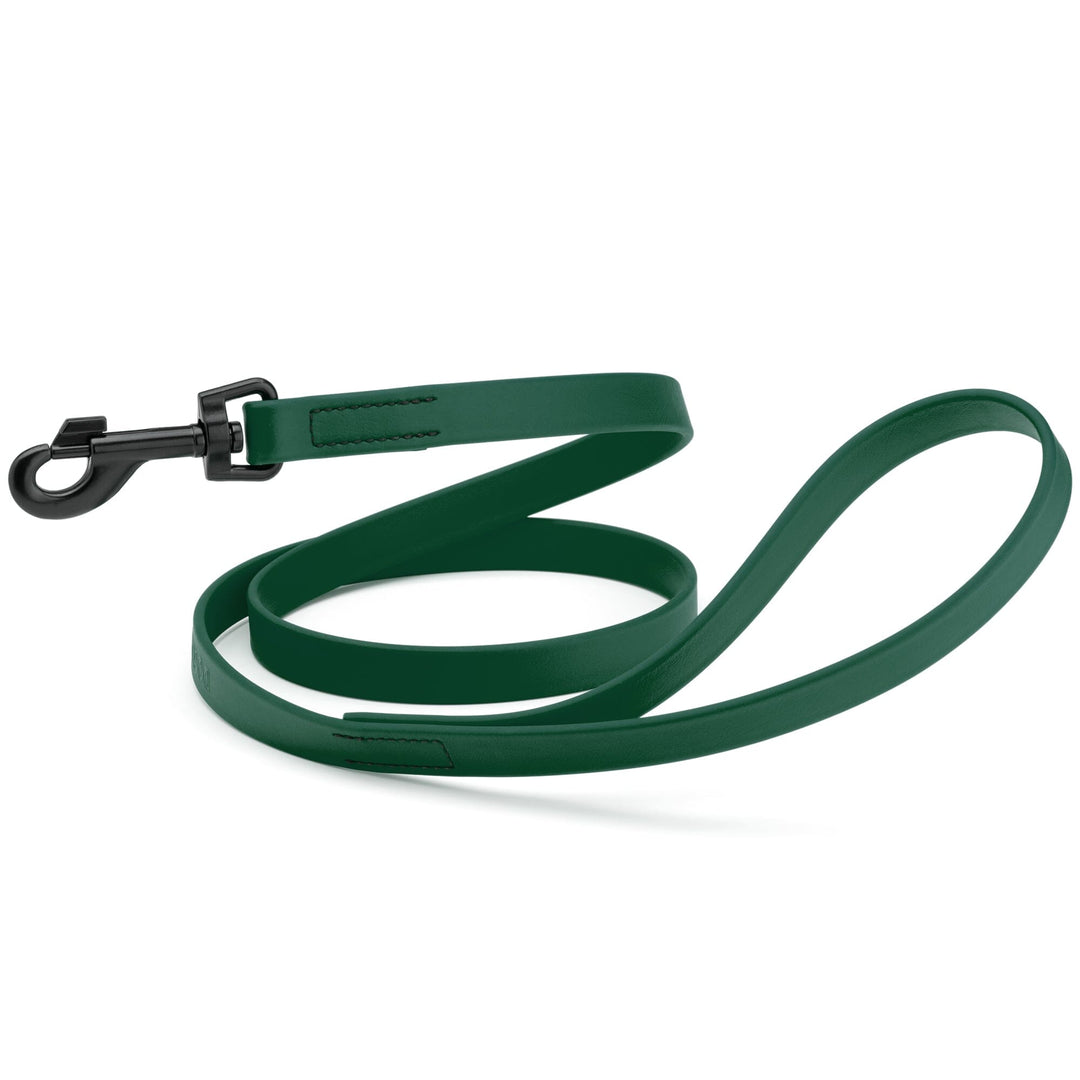 Green dog leash with a black clip on a white background