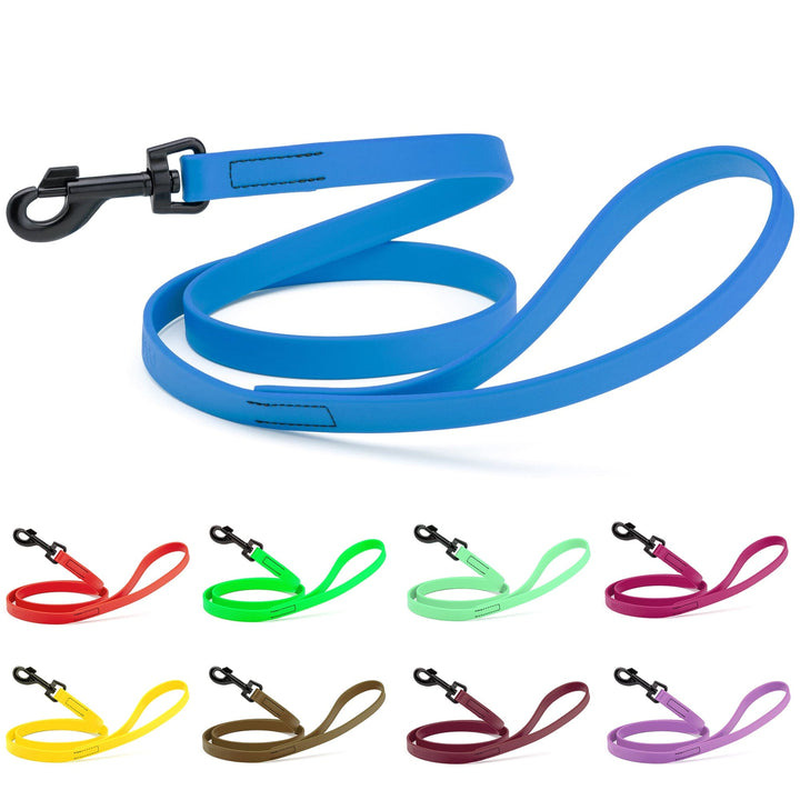 Blue dog leash with various color options displayed below on a white background