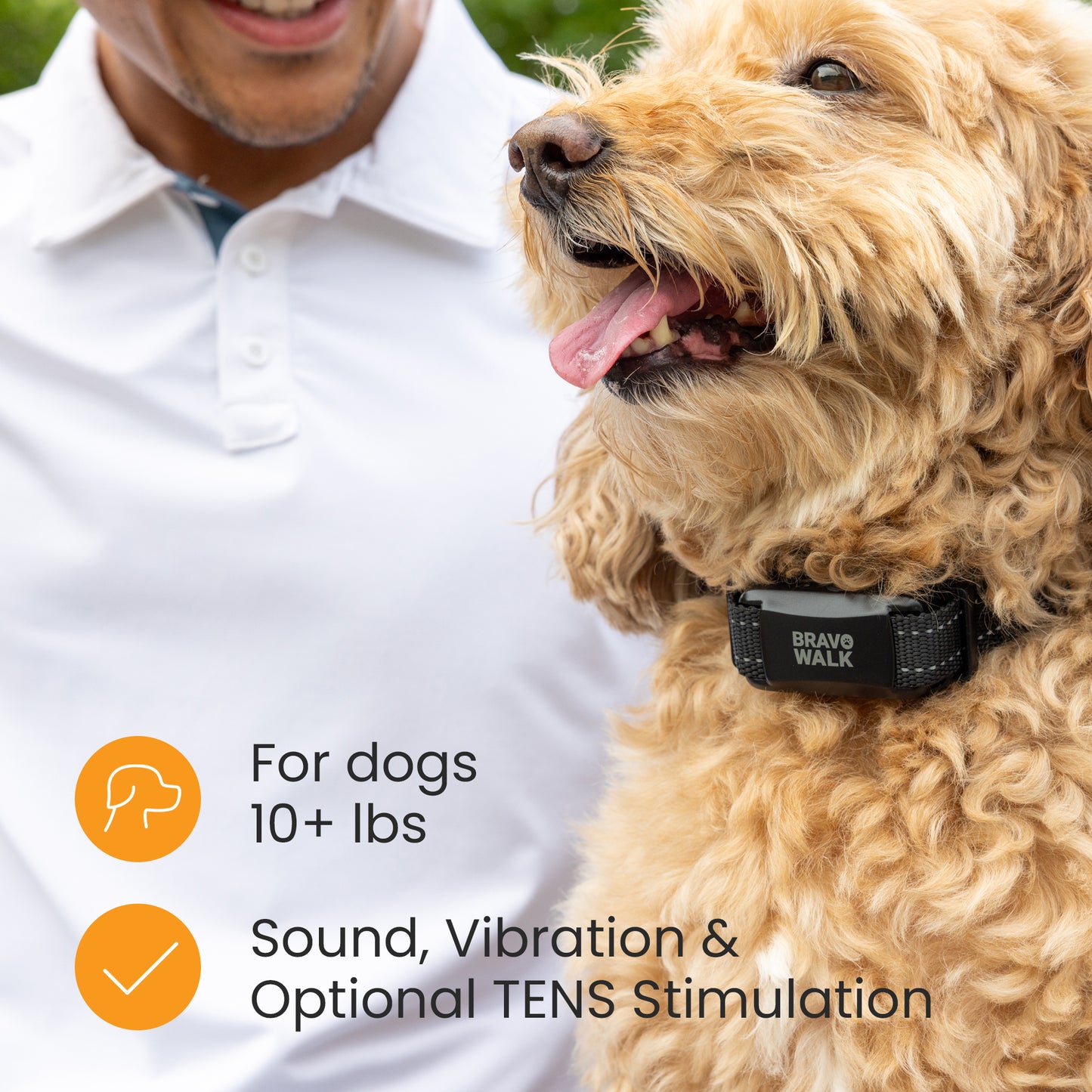 BravoWalk Pro Dog Training Collar