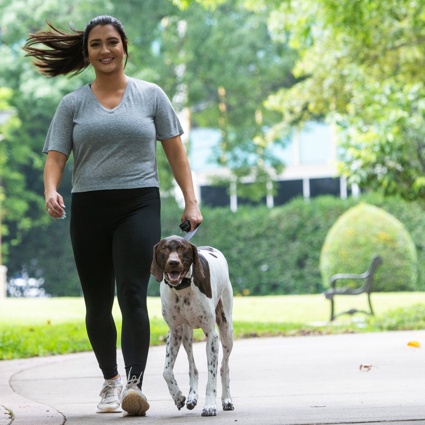 BravoWalk Pro Dog Training Collar