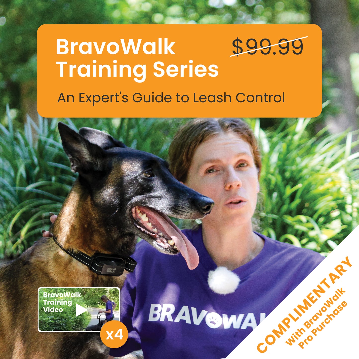 BravoWalk Pro Dog Training Collar