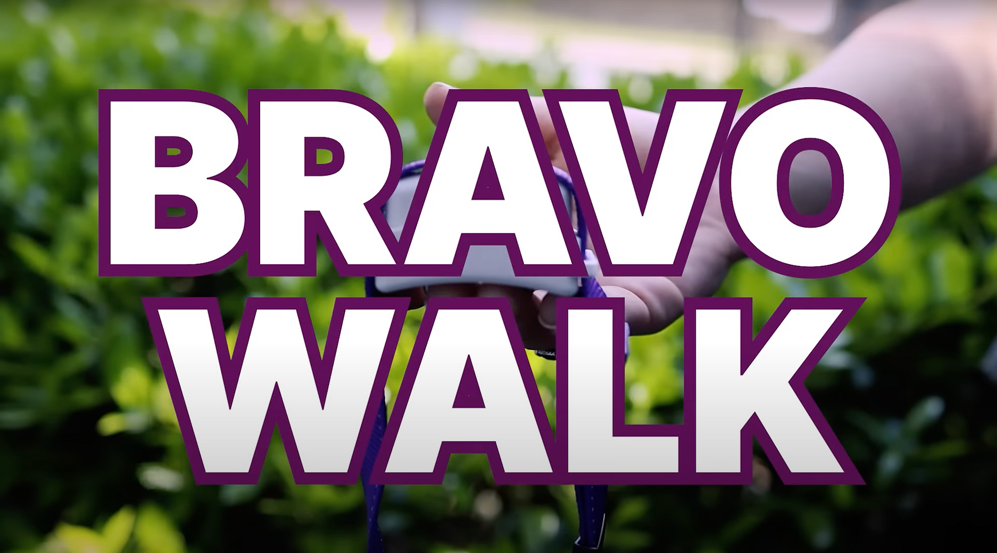 Introducing...BravoWalk!