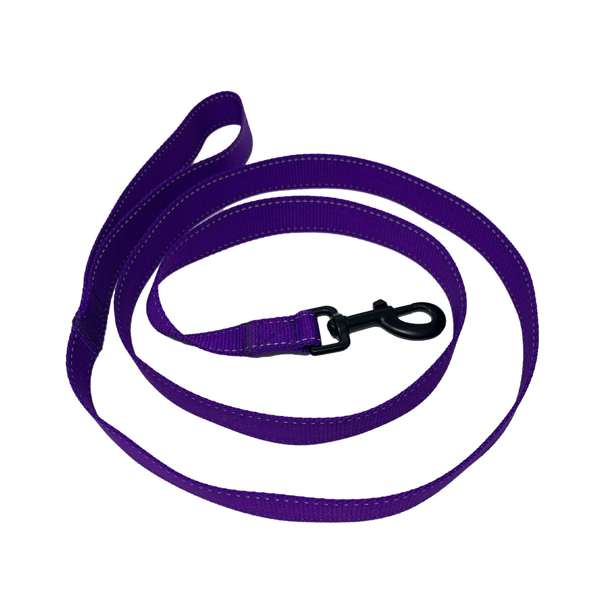 Training Leash