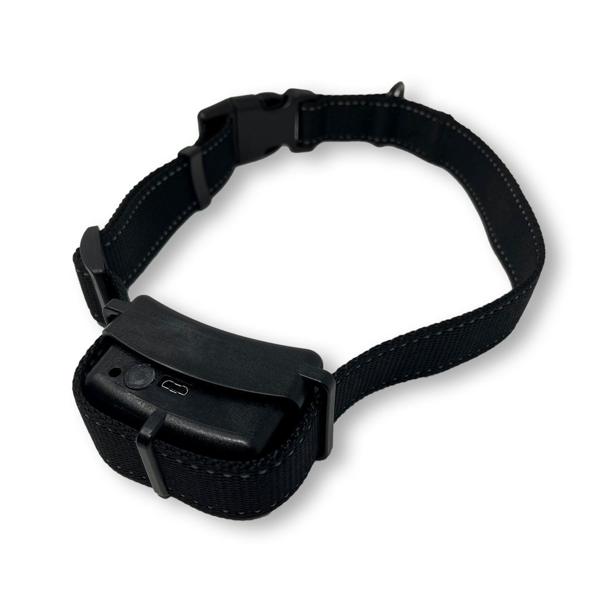 BravoWalk Collar