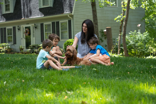 Maggie's BravoWalk Story: How to walk a dog with kids