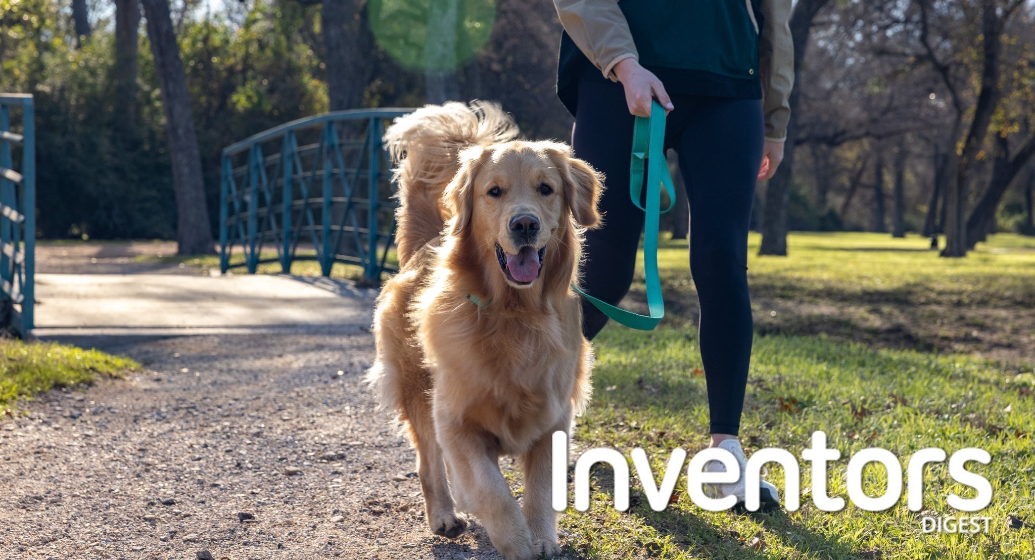 BravoWalk Featured in Inventors Digest – BravoWalk Dog Collar