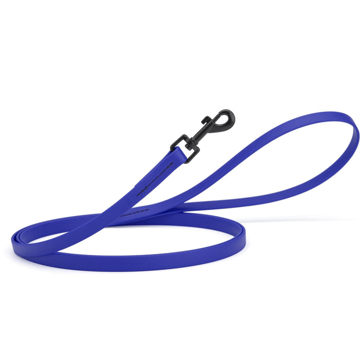 Blue dog leash with a black clip on a white background