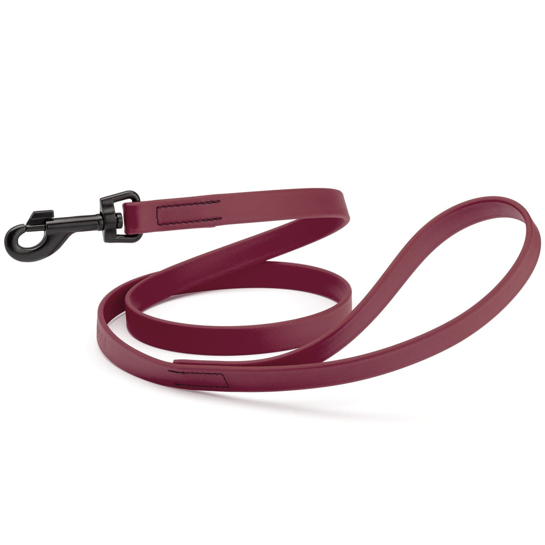 Maroon dog leash with black clip on a white background