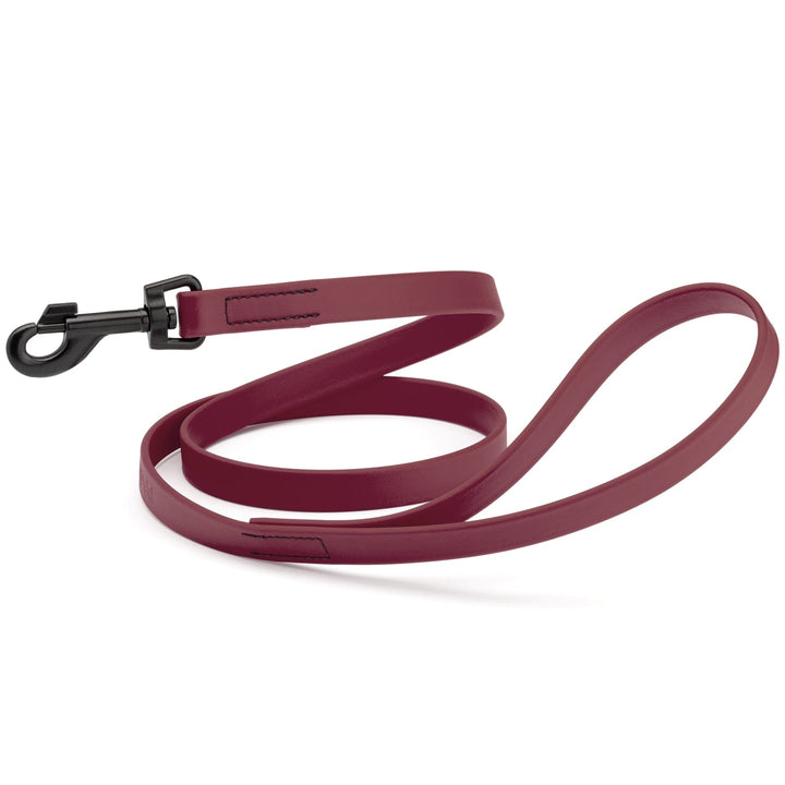 Maroon dog leash with black clip on a white background
