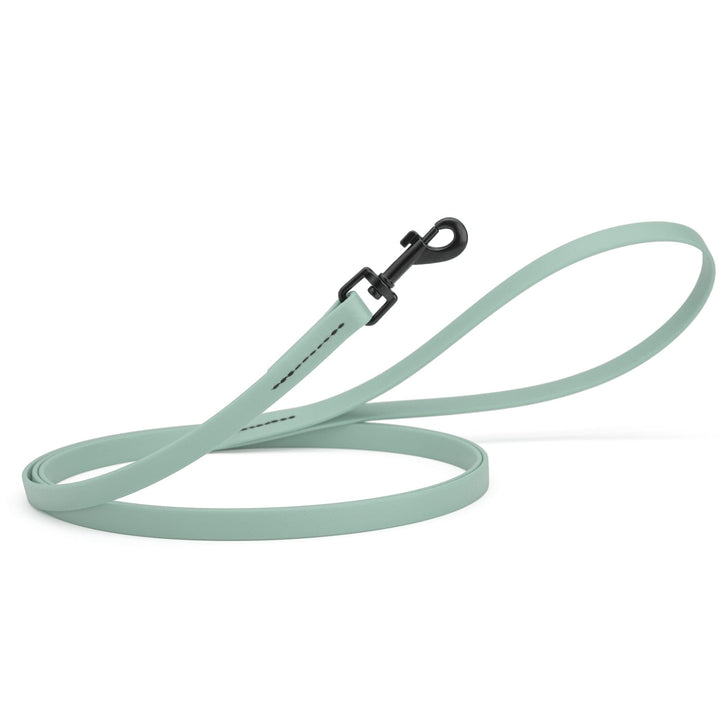 Light blue dog leash with black clip on a white background