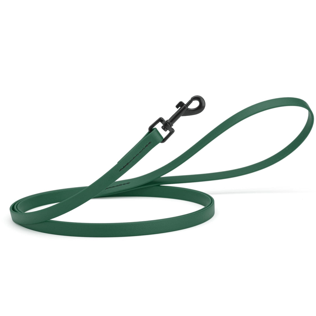 Green dog leash with a black clip on a white background