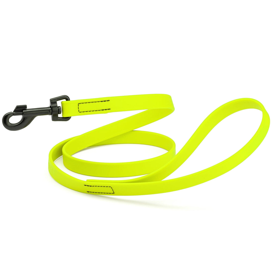 Neon yellow dog leash with black clip on a white background