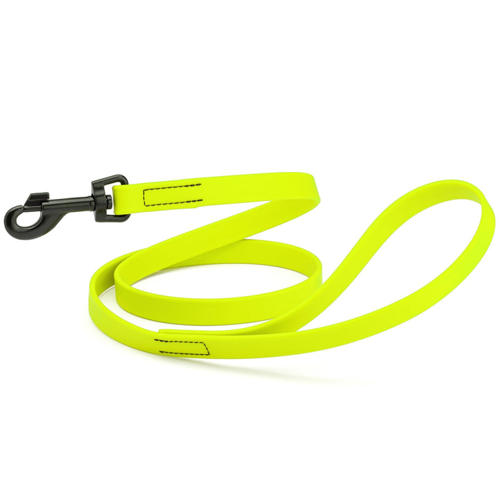 Neon yellow dog leash with black clip on a white background