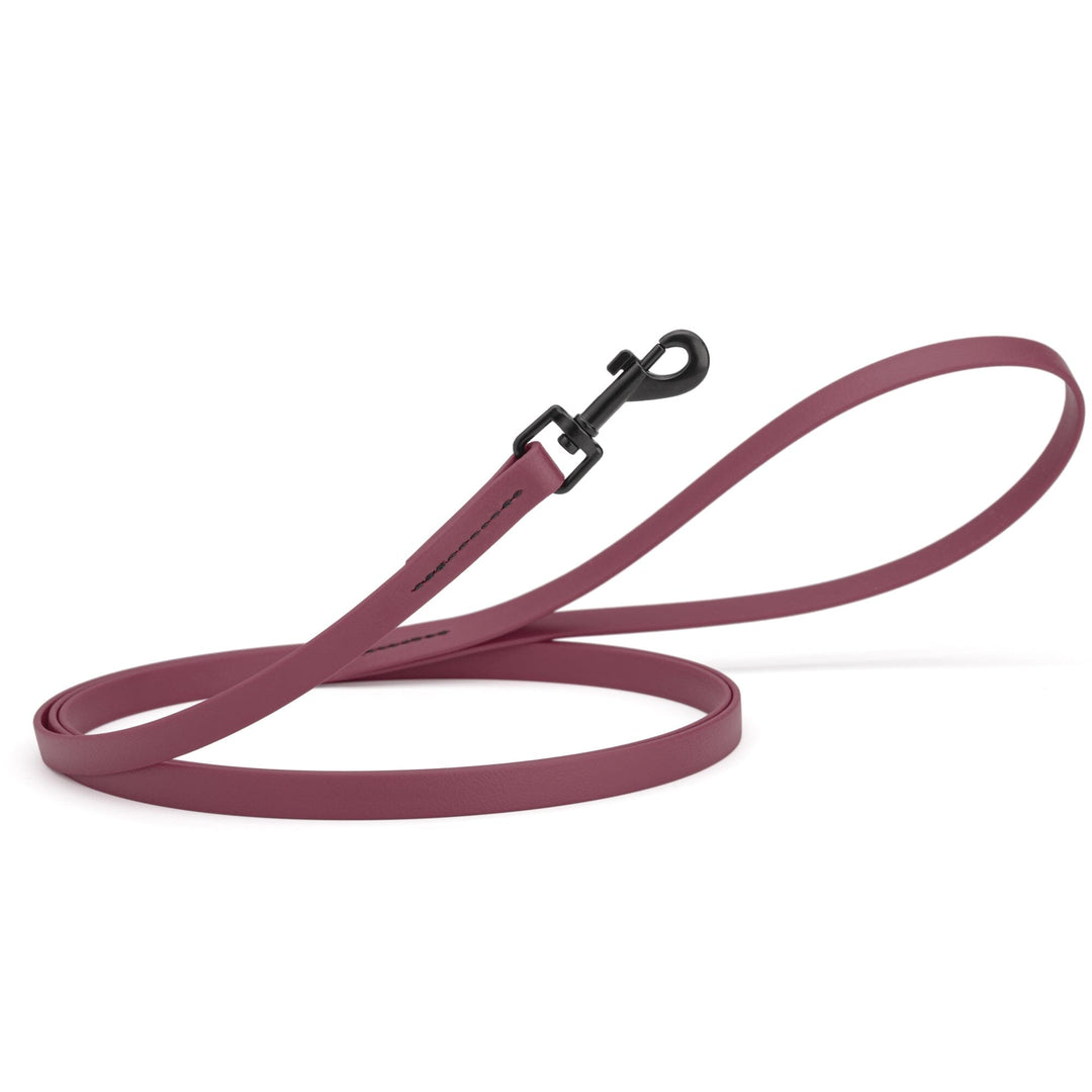 Dark mauve dog leash with a black clip on a white background