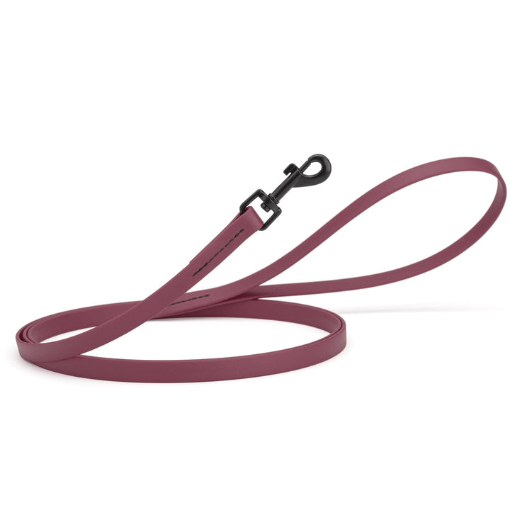 Dark mauve dog leash with a black clip on a white background