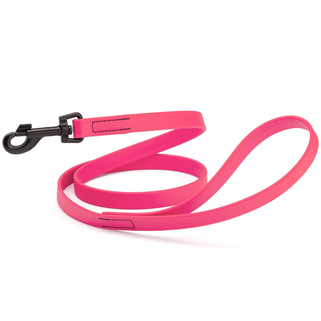 Neon pink dog leash with a black clip on a white background