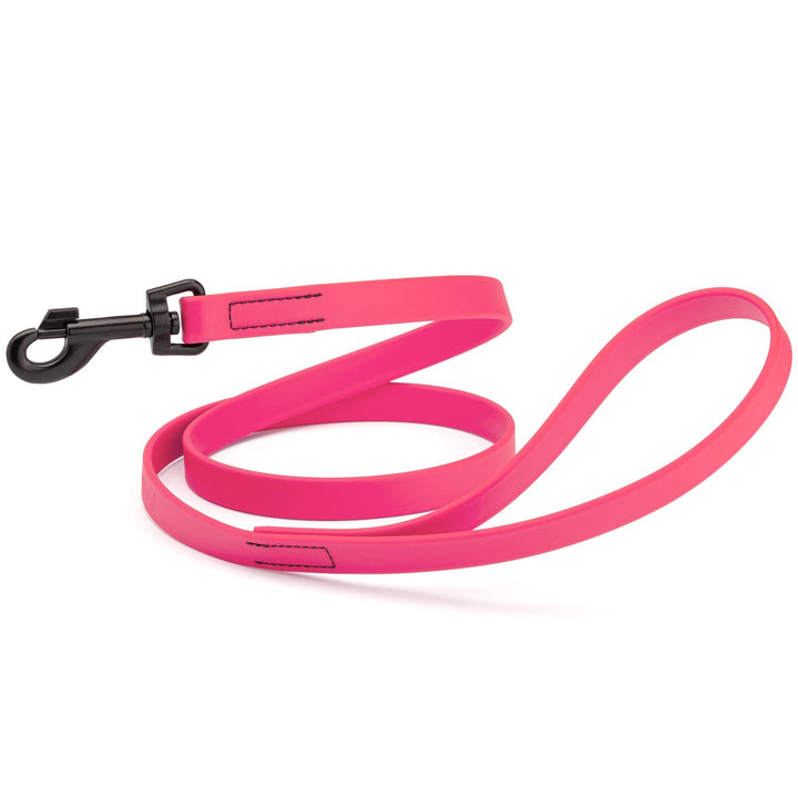 Neon pink dog leash with a black clip on a white background