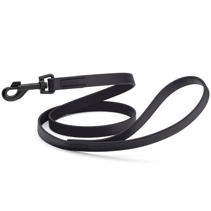 Black dog leash on a white background