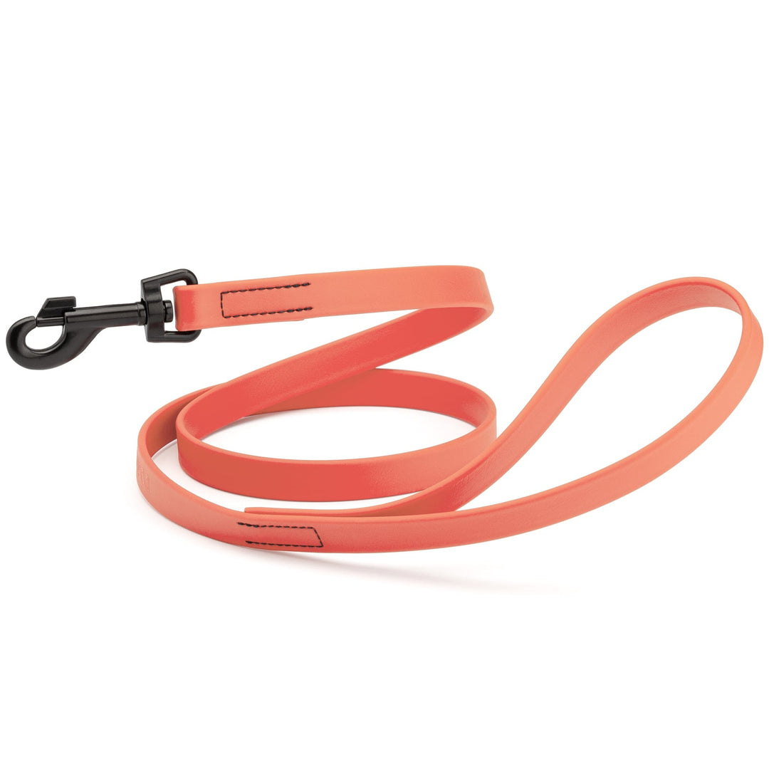 Coral dog leash with black clip on a white background