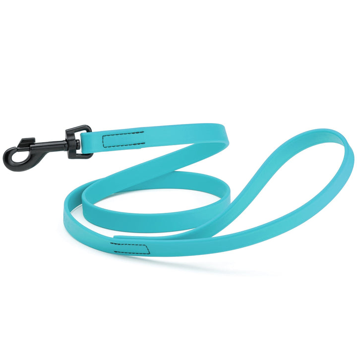 Turquoise dog leash with a black clip on a white background