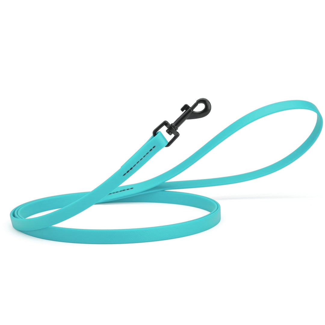 Turquoise dog leash with a black clip on a white background