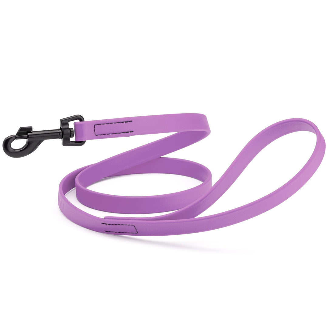 Purple dog leash for dog training with a black clip on a white background