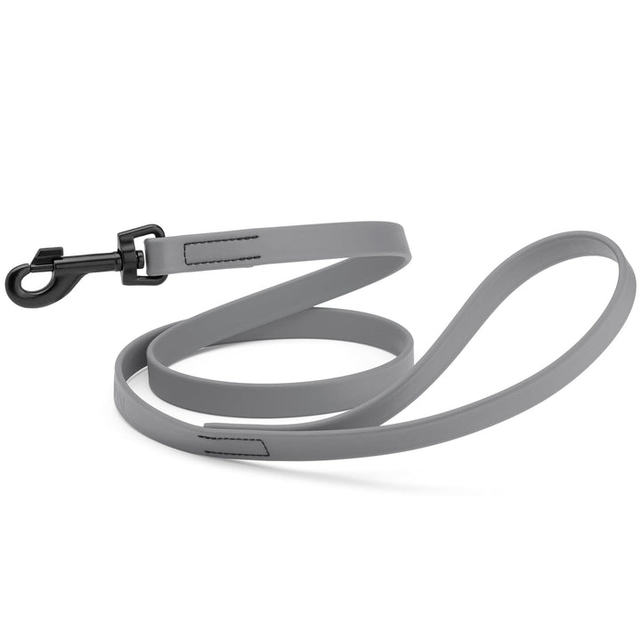 Gray dog leash with a black clip on a white background