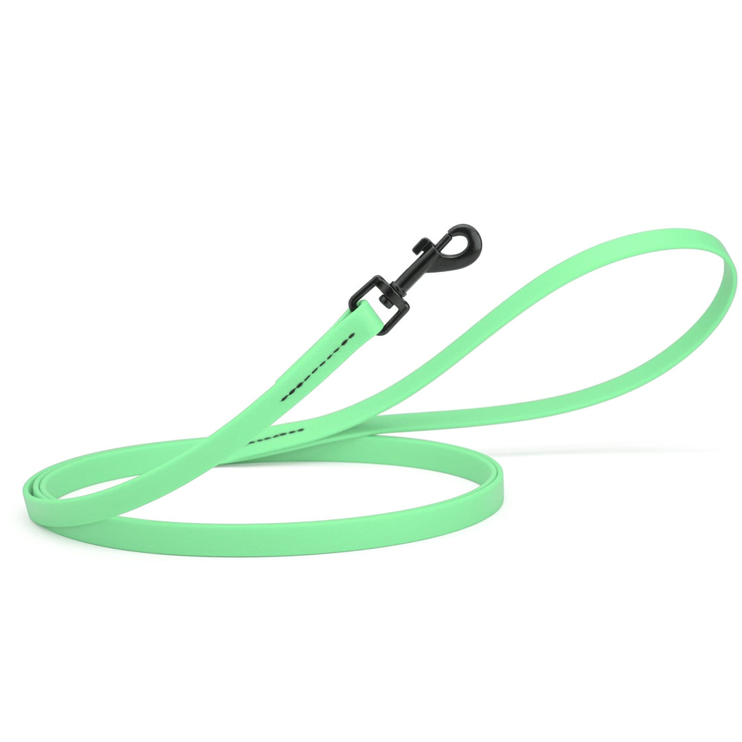 Neon mint green dog leash with black clip on a white background