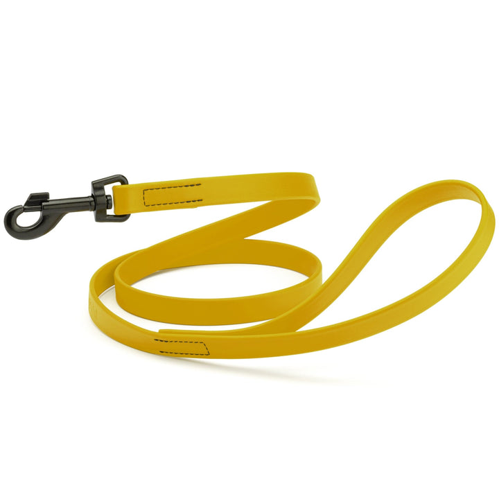 Yellow dog leash with a black clip on a white background