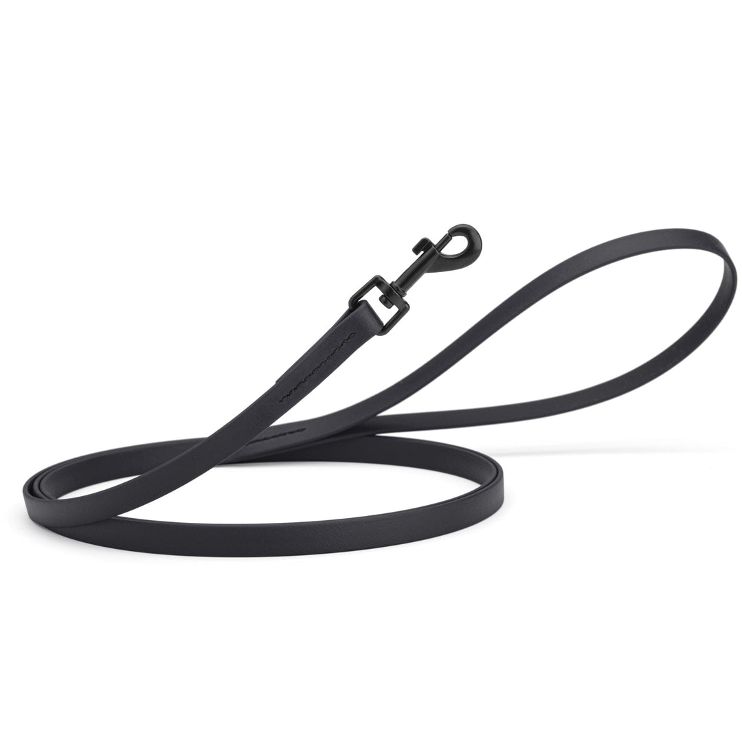 Black dog leash on a white background
