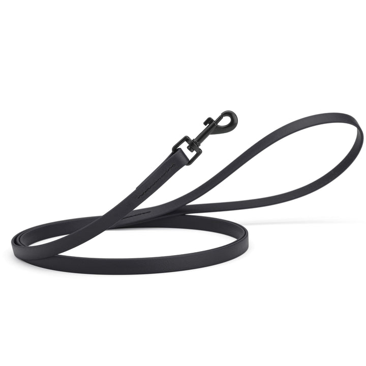 Black dog leash on a white background