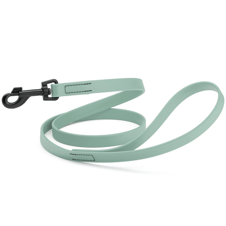 Light blue dog leash with black clip on a white background