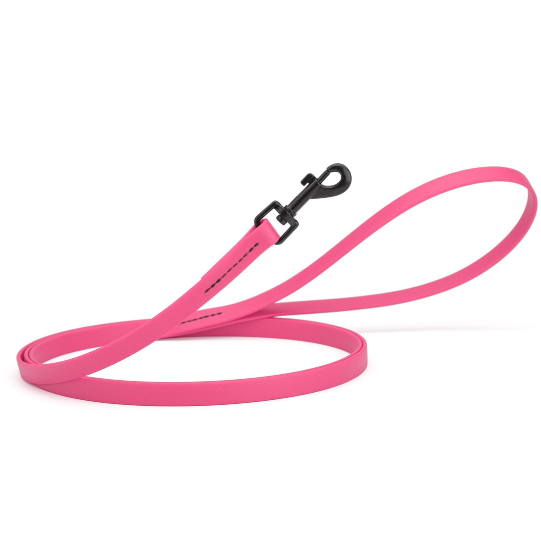 Hot pink dog leash with a black clip on a white background