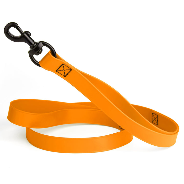 Orange dog leash with black clip on a white background