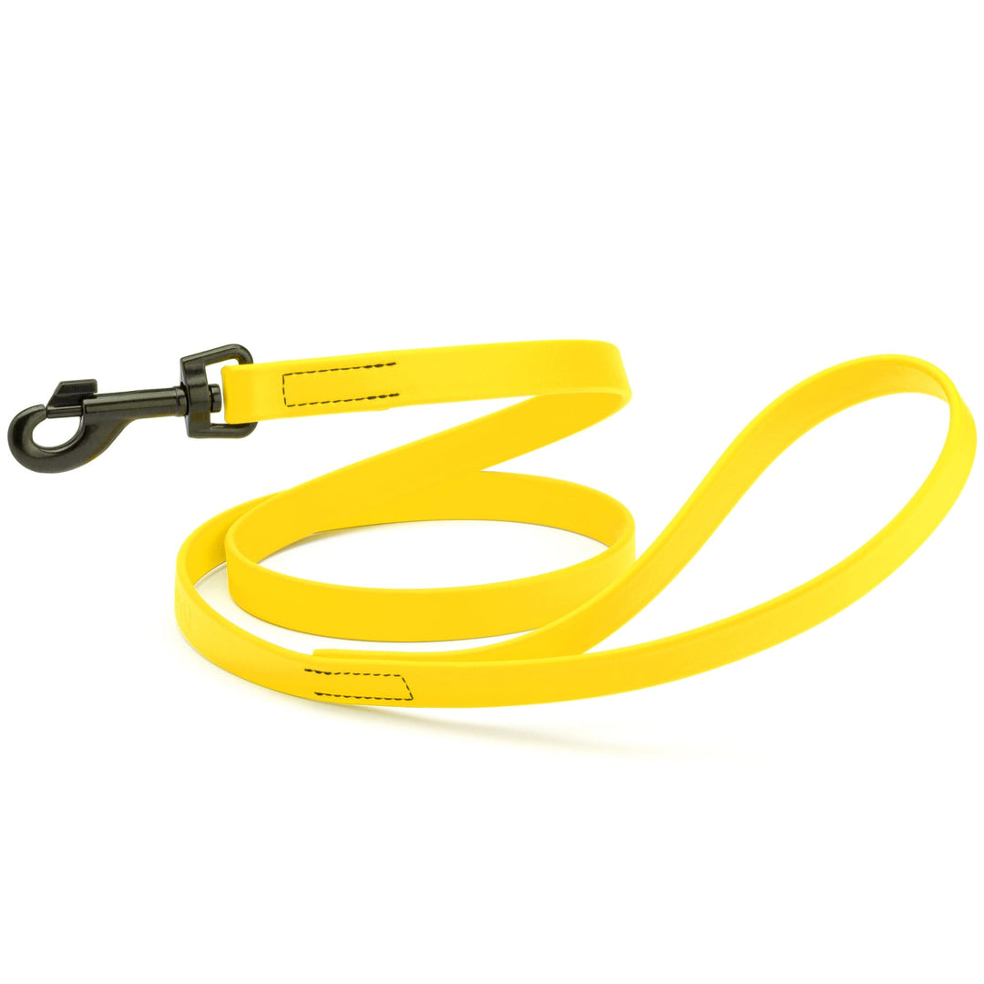 Yellow dog leash with a black clip on a white background