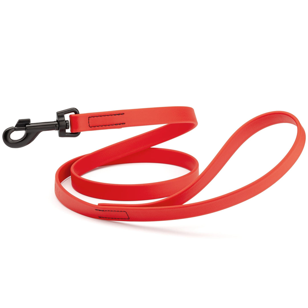 Red dog leash with a black clip on a white background