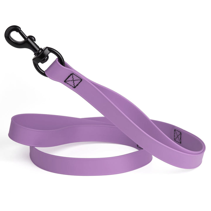 Purple dog leash with black clip on a white background