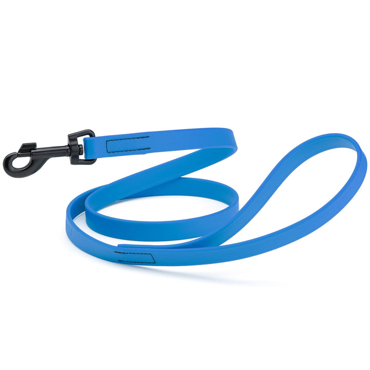 Blue dog leash with a black clip on a white background