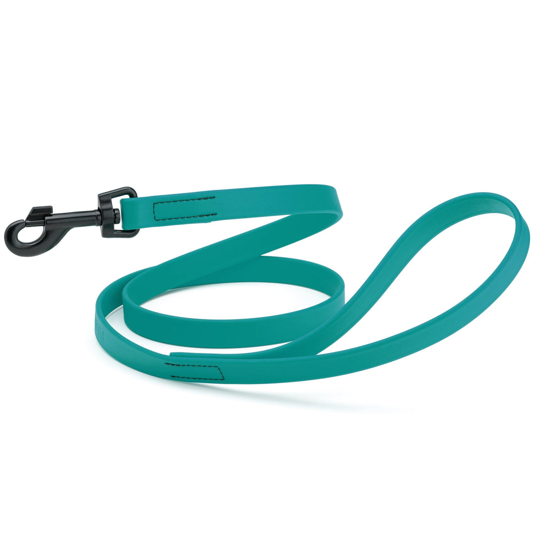 Teal dog leash with black clip on a white background