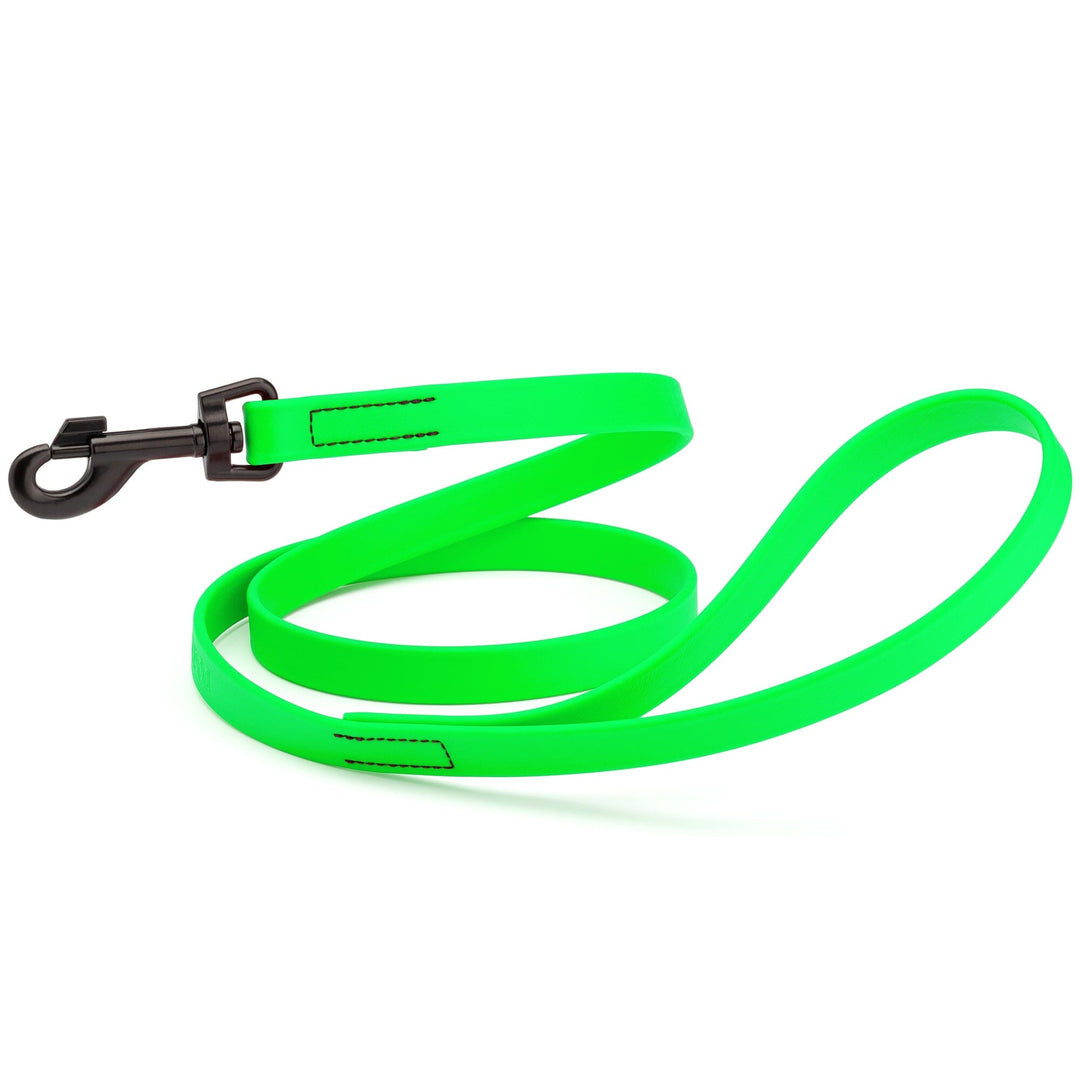 Neon green dog leash with a black clip on a white background