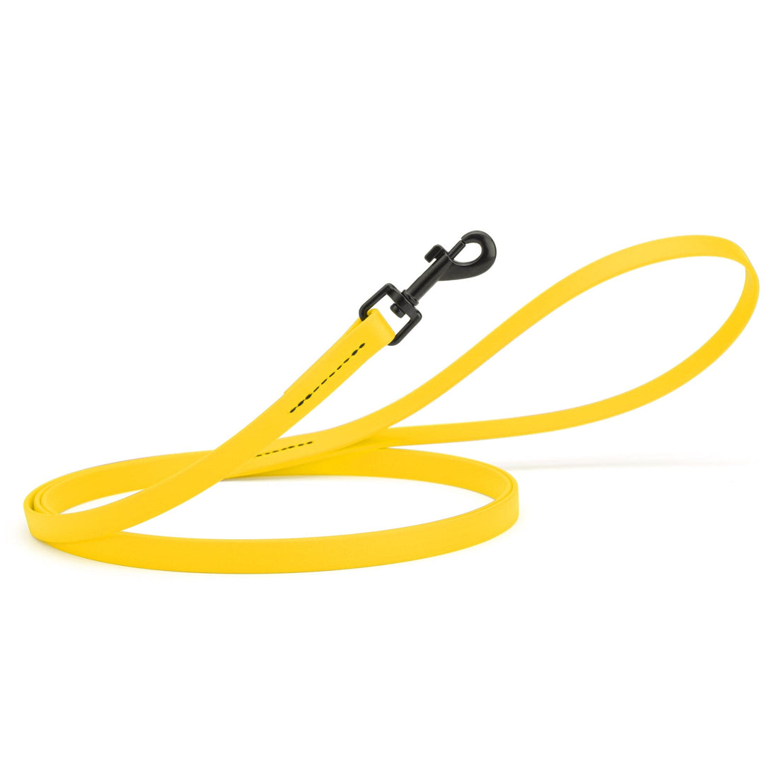 Yellow dog leash with a black clip on a white background