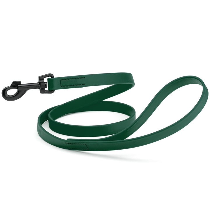 Green dog leash with a black clip on a white background