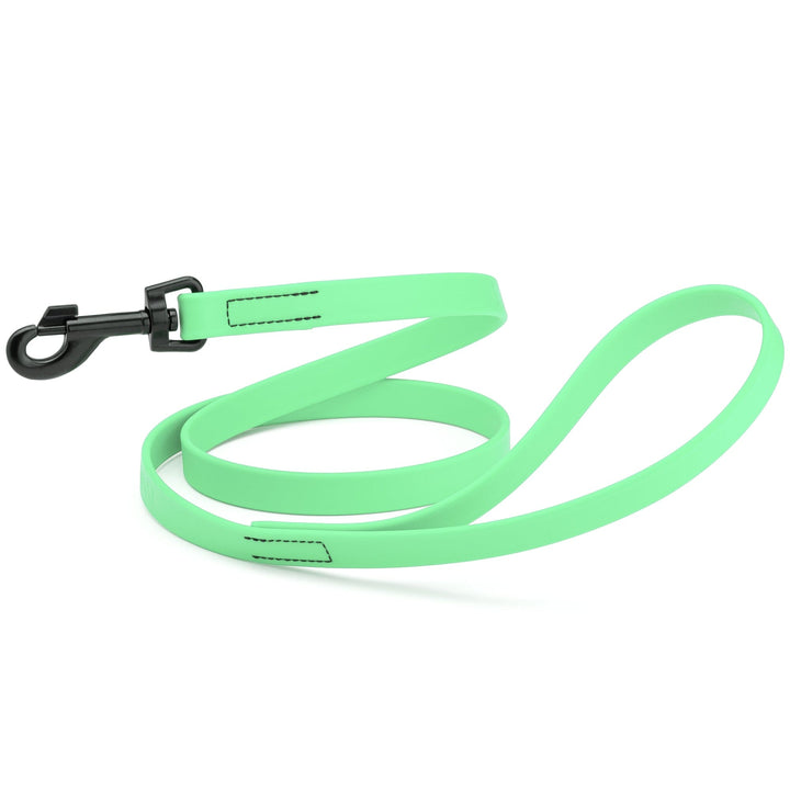 Green dog leash with black clip on a white background
