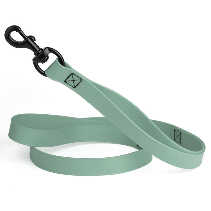 Mint green dog leash with black clip on a white background