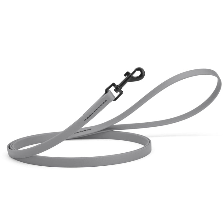 Gray dog leash with a black clip on a white background