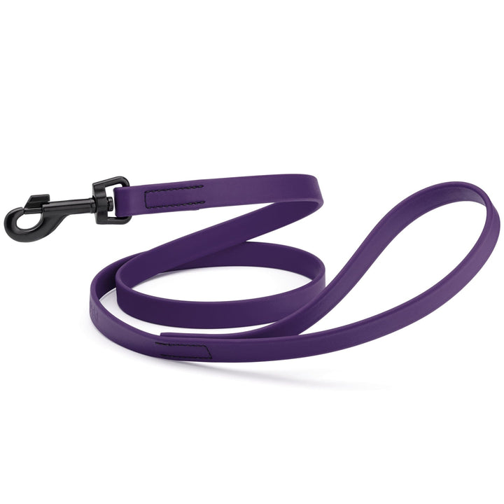 Purple dog leash with a black clip on a white background