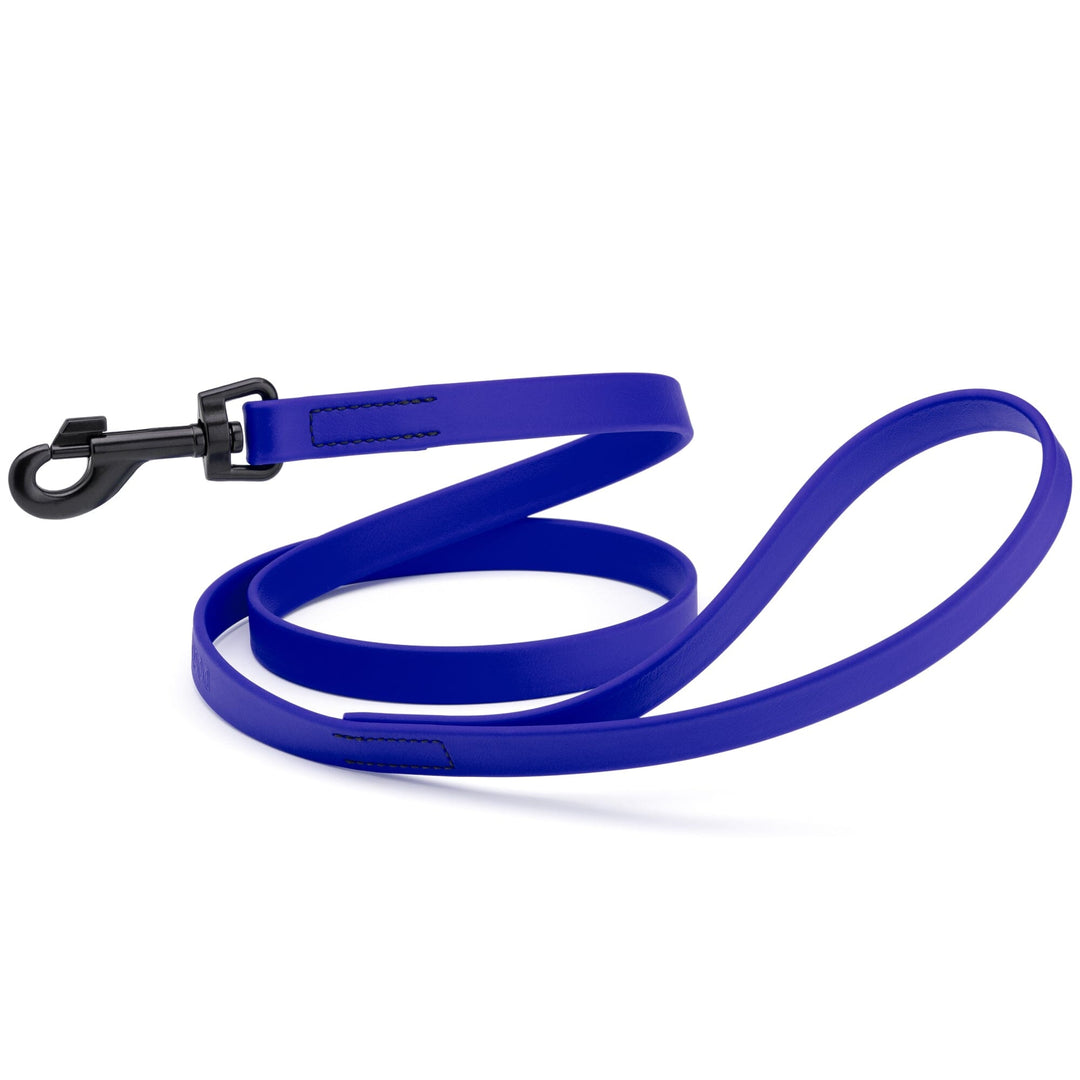 Blue dog leash with a black clip on a white background