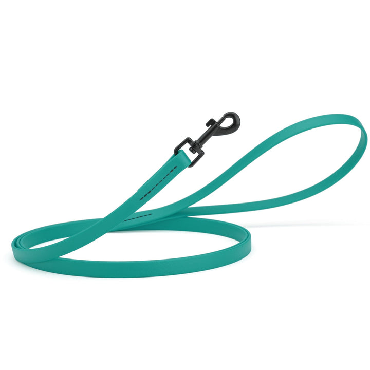 Teal dog leash with black clip on a white background