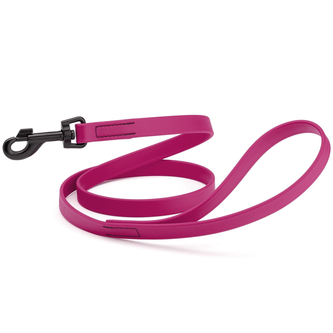 Pink dog leash with a black clip on a white background