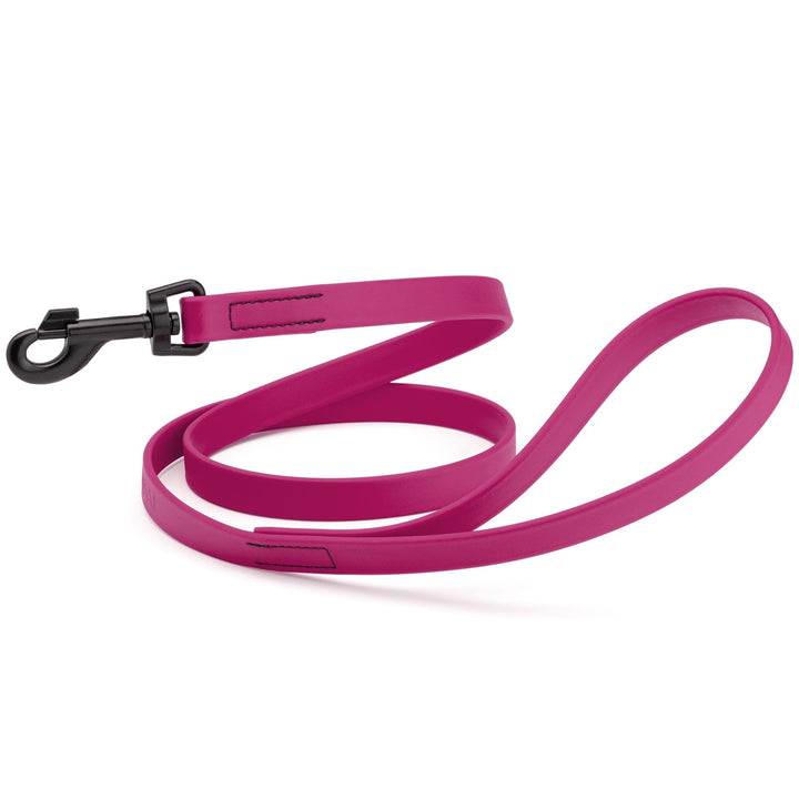 Pink dog leash with a black clip on a white background